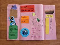 Lapbook_5